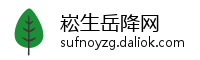 崧生岳降网